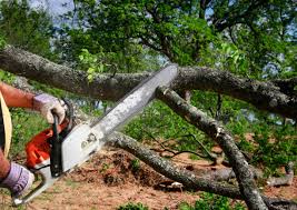 Best Lawn Grading and Leveling  in Rusk, TX